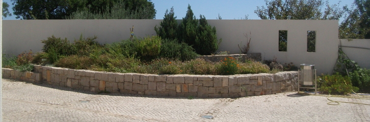 edificio-rua.jpg